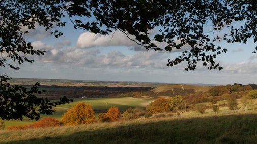 Looking out across the Vale of Aylesbury from the top of a hill. In front of you is a line of trees in autumn colour with golden leaves. Beyond is a patchwork of fields. The image is framed with a silhouette of leaves along the left and top